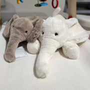 Long nose  baby elephant
