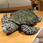 Green turtle